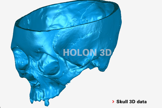 Skull 3D data